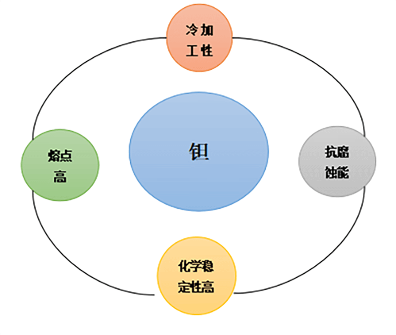 钽加工件 (4)